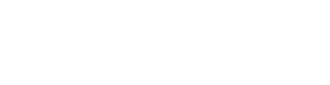 logo light